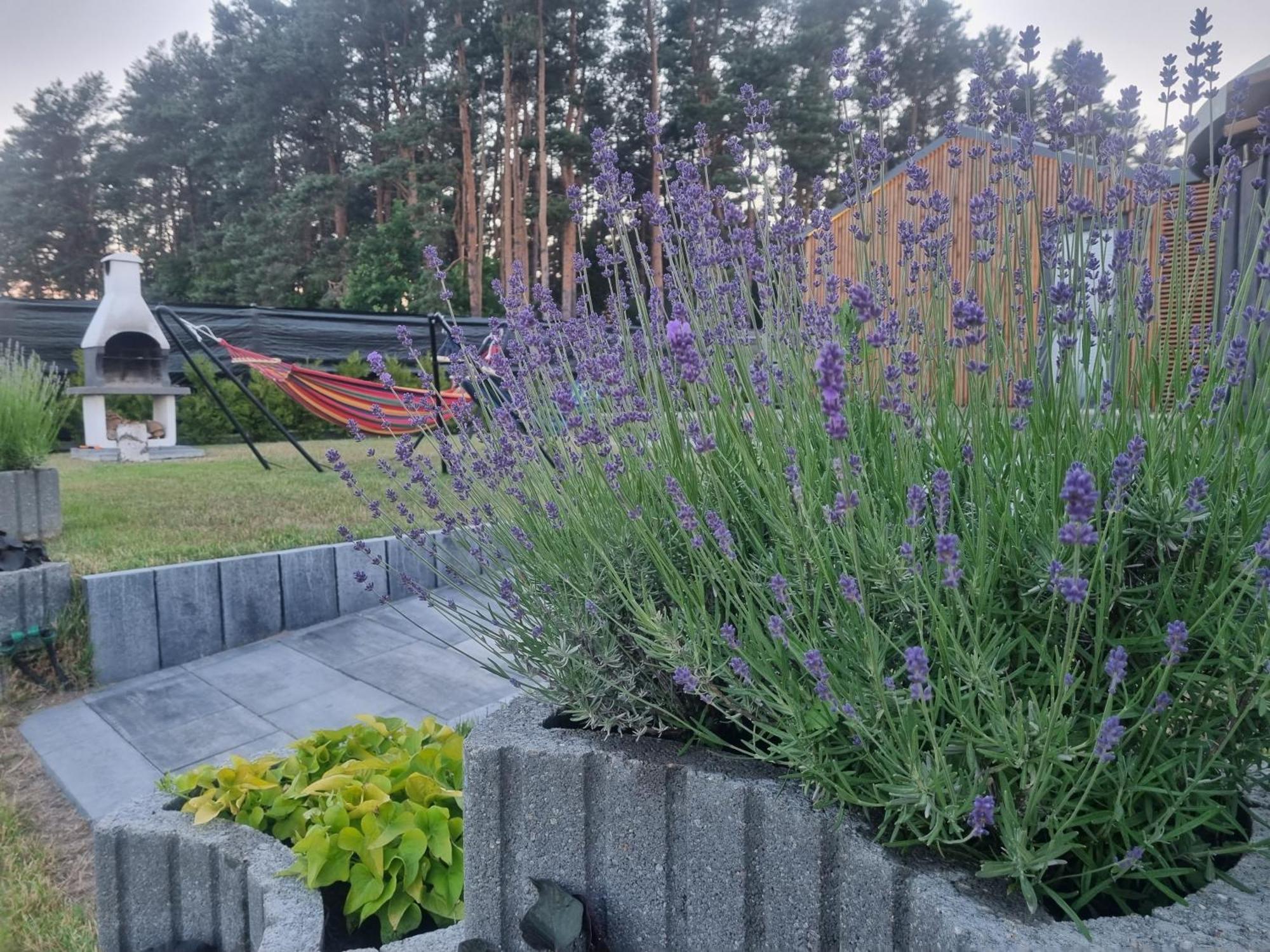 Domek Wakacyjny, Nad Morzem Z Balia, Lawendowe Wzgorze, Karwienskie Bloto ภายนอก รูปภาพ